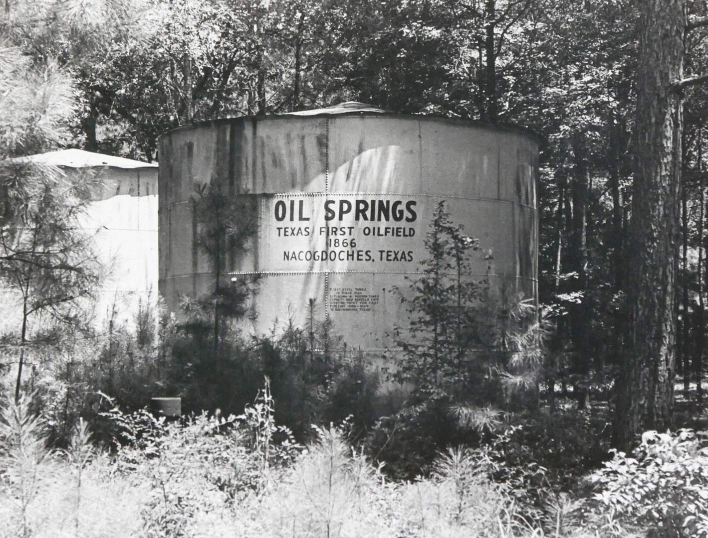 Site of Texas' first producing oil well. In the Big Thicket area near Nacogdoches.